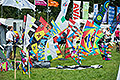 bild078