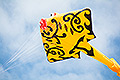 bild081