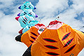 bild083