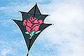 bild091