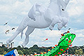 bild018
