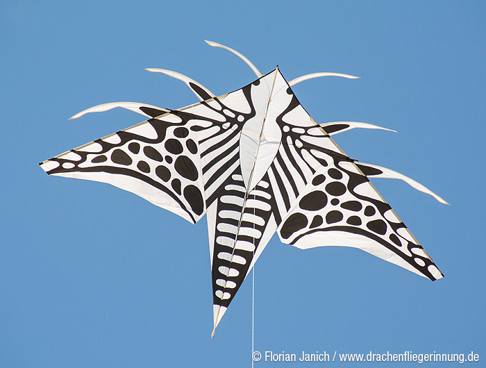 bild032