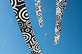 bild017
