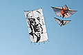 bild100