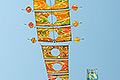 bild113