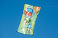 bild228