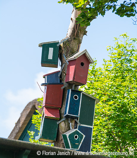 bild052