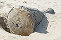 bild069