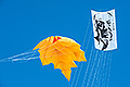 bild092