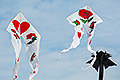 bild023