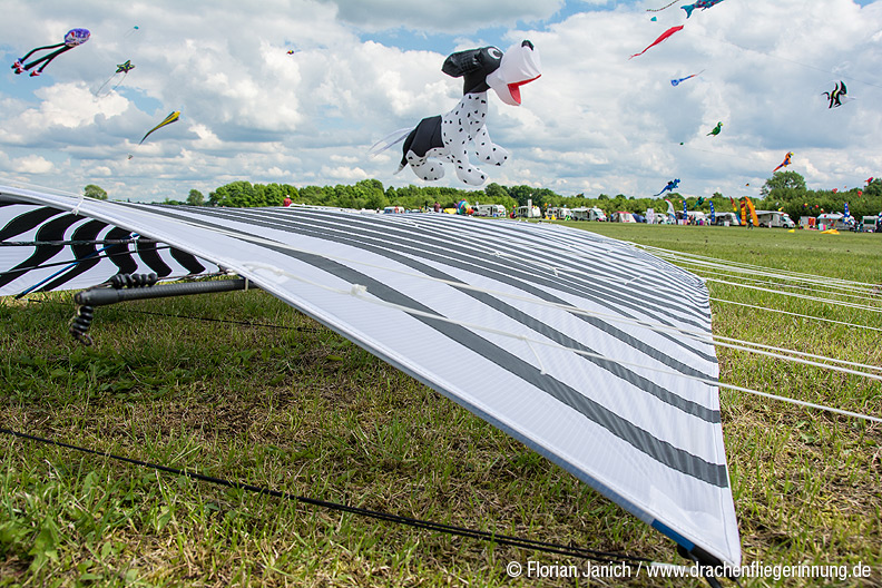 bild010