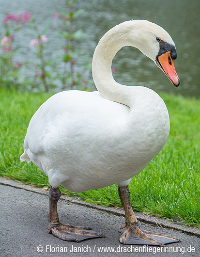 bild006