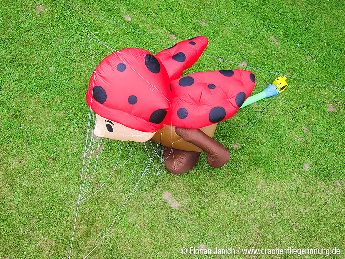 bild021