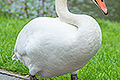bild006