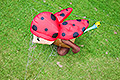 bild021