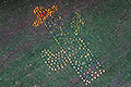 bild055