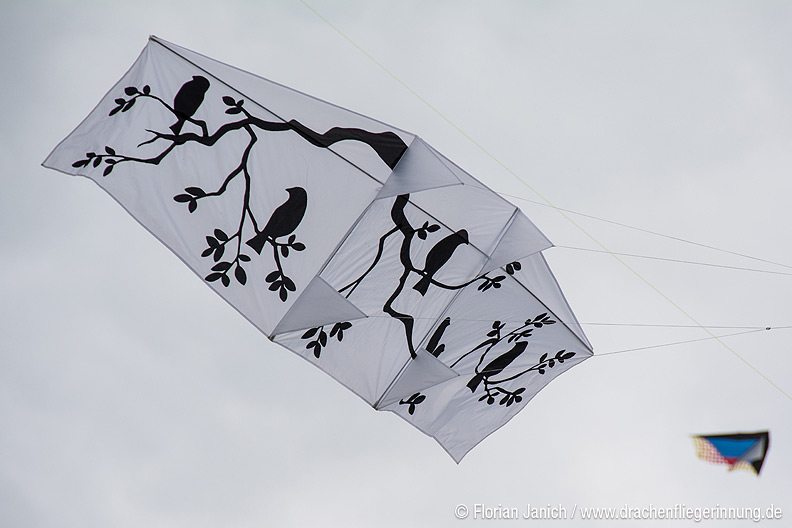 bild008