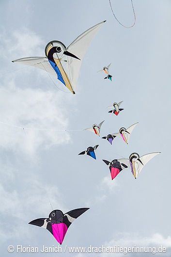 bild029