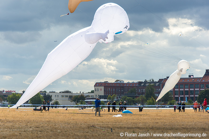 bild009