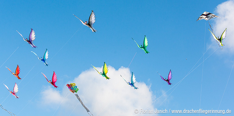 bild023
