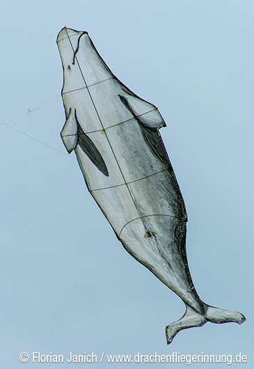 bild029