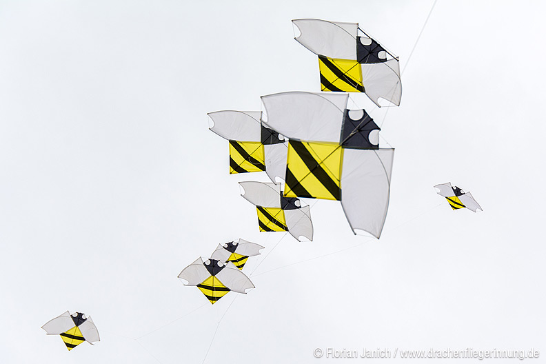 bild031