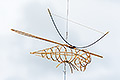 bild003