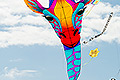 bild016