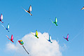 bild023