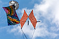 bild059
