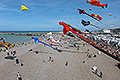 bild091