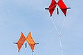 bild109