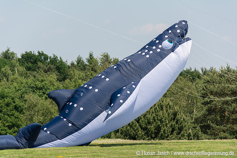 bild017