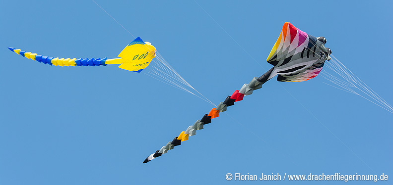 bild018
