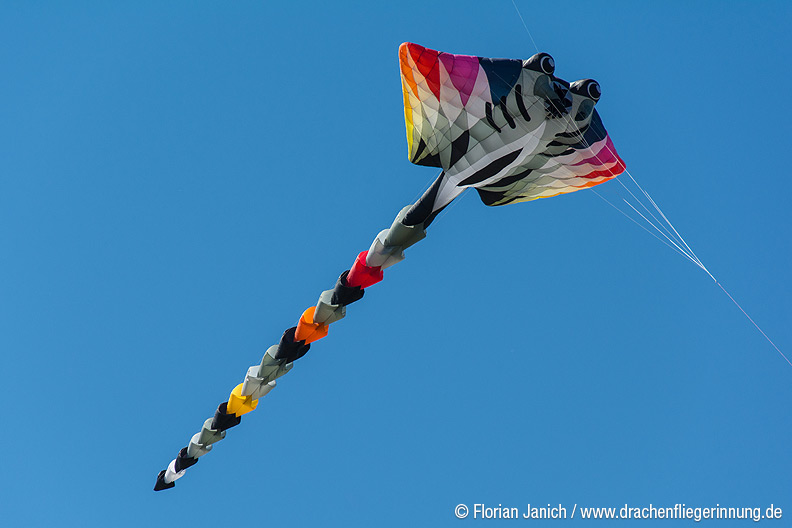 bild007