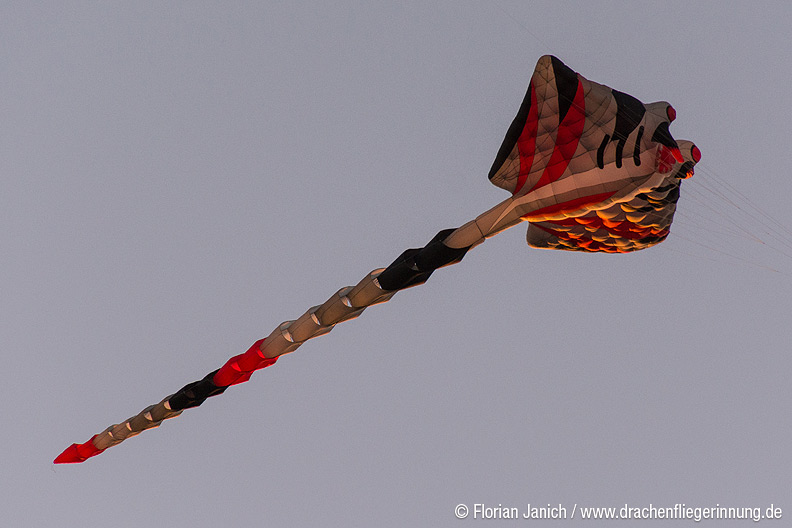 bild024