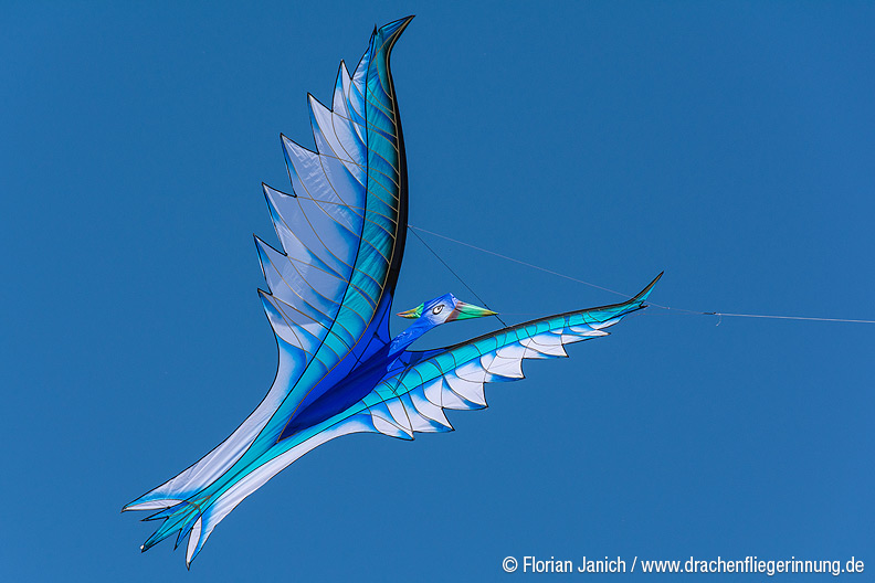 bild054
