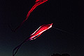 bild030