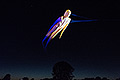 bild031