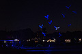 bild032