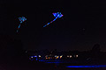 bild033