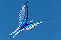 bild054
