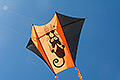 bild061
