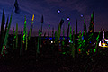 bild013