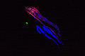 bild022