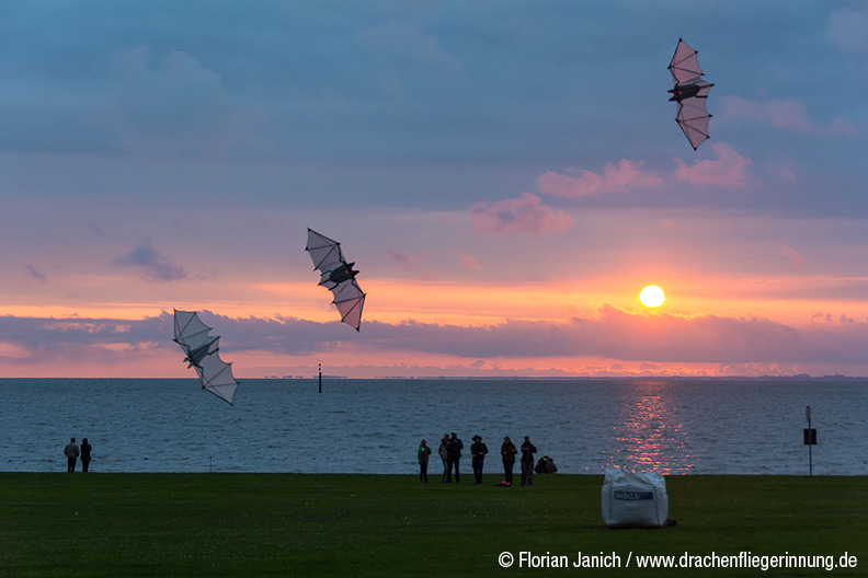 bild013