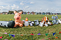 bild018