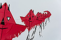 bild056