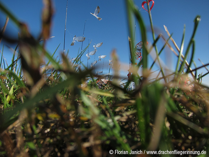 bild001