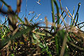 bild001